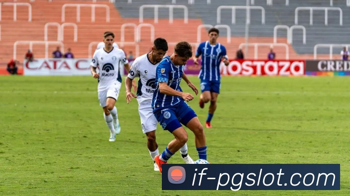 赏金女王官网平台生态图