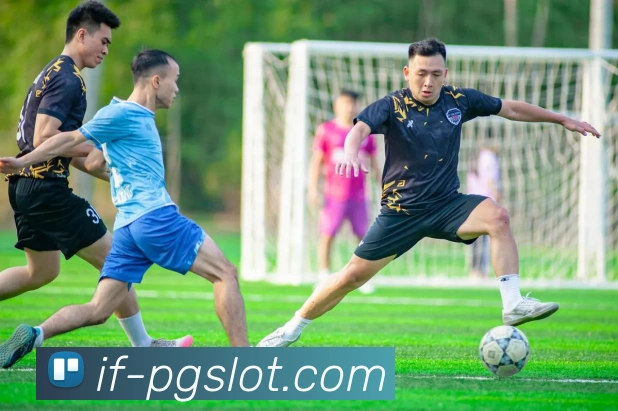 赏金女王官网全站App